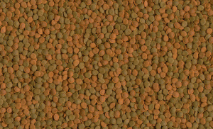 Tetra WaferMix корм д/рыб донных, чипсы 250мл