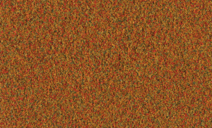Tet-239395_3